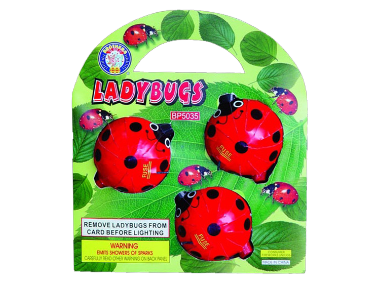 LADY BUGS